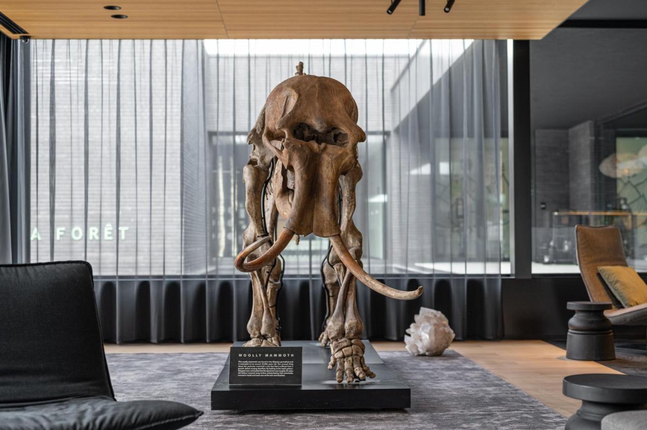 La Butte Aux Bois A Small Luxury Hotel Of The World 라나켄 외부 사진